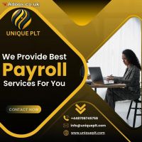Professional payroll services for your Business