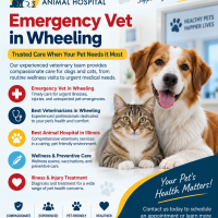 Emergency Vet in Wheeling – Trusted Pet Care