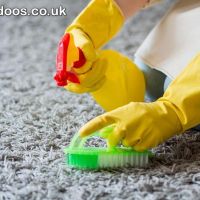 Same Day Carpet & Window Cleaning in South East London