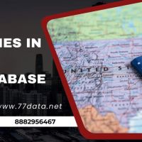 Database provider in USA by 77 Data