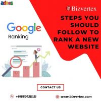 How to Rank Your New Website Quickly? Bizvertex Can Help Affordably!