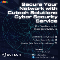 Ensuring Digital Safety: The Role of Cyber Security Services