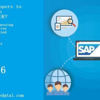 Why Choose One Dgtal for SAP Development Solutions?