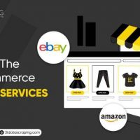 Choosing The Best Ecommerce Scraping Services
