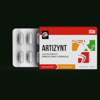 ArtiZynt - CPA - [CO]