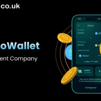 Crypto Wallet Development Company