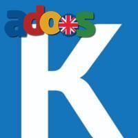 Ukg Consulting Services 