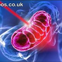 Red Light Therapy London