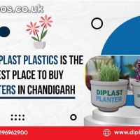  Buy Planters in Chandigarh