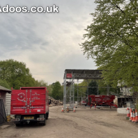 Expert Tree Surgeons in Epsom – Safe, Reliable & Affordable Services 