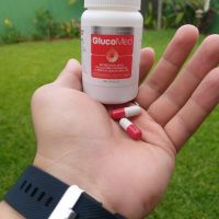 Glucomed - CPA - [GT]  Diabetes