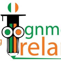 Assignment Writing Ireland