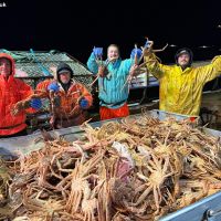 Live and Frozen King Crab for sale, Live/Frozen, RED King Crab