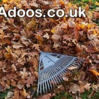 Clear Your Garden Fast with Expert Garden Waste Removal Services in Ba