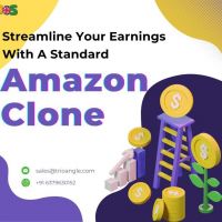 Streamline Your Earnings With A Standard Amazon Clone