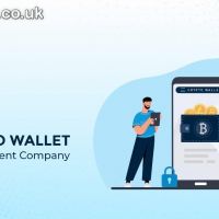 Collaborate with a crypto wallet development company to produce 