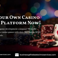 Casino Game Development Services in the USA