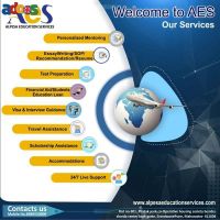 Beyond Boundaries: Educational Consulting by Alpesa in Pune