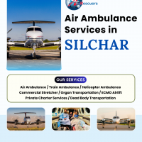 Your Emergency, Our Immediate Action in Silchar