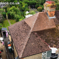 Professional Roof Moss Removal & Cleaning Services