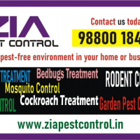 Specialist in Pest control | Cockroach service 30% off  | 1917 | 