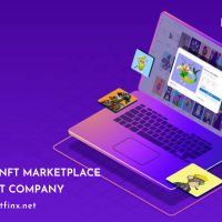 Why Invest In White Label NFT Marketplace? 