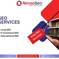 Get Higher Search Rankings with Expert SEO Services in Nerul
