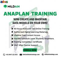 Anaplan Level 1 Certification