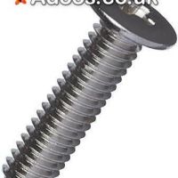 Purchase Miniature Screw M2 4mm Head Securely at Enrgtech