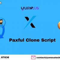 Make A Global P2P Crypto Exchange Using the Paxful Clone Script