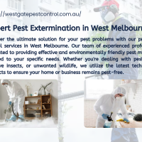 Expert Pest Extermination in West Melbourne