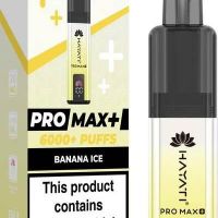 Hayati Pro Max+ 6000 Puffs Vape Starter Kit