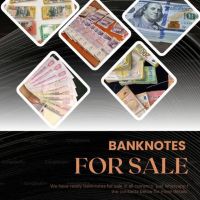 Buy Undetectable Prop Bills