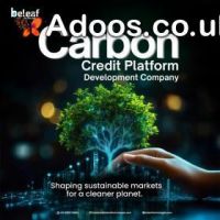  How Carbon Credit Platforms Empower Businesses