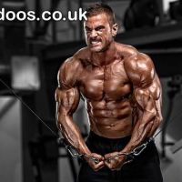 Best Testosterone Booster for Men Over 60: Stay Active and Sharp