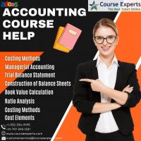 Accounting Assignments online
