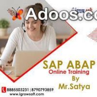 SAP ABAP ON HANA online training hyderabad | Igrowsoft