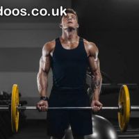 Best Legal Steroids for High-Intensity Training and Performance