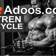 Test and Tren Cycle For Beginners 2026: TrenMax Transformation Stories