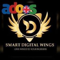 Website Designing Company in Bijnor