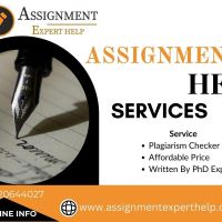  Assignment Help Services