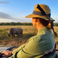 India Wildlife Safari Tours