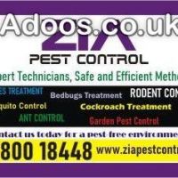 Zia Pest control Upto 30% Off  General pest Control  Garden pest servi