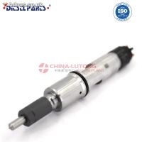 Common Rail Fuel Injector 0445120244