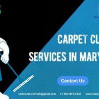 Revitalize Your Home with Professional Carpet Cleaning in Marysville