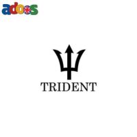 Trident Pumps - Premium Central Heating Pump Nottingham ????