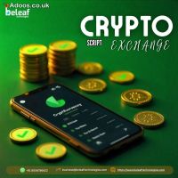 Ready-Made Crypto Exchange Script – You’ll Be Surprised What It Can Do