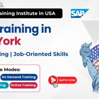 SAP Training in New York – Know Your Career Opportunities
