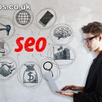 Hire SEO Expert to Grow Your Traffic & Generate More Leads - Market Fo