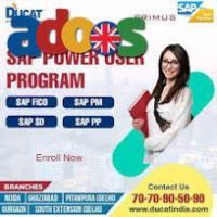 Best SAP Training in Noida